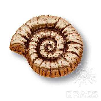 504L2 Ручка-кнопка мебельная ракушка, старая бронза