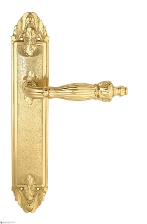 Дверные ручки Venezia OLIMPO на планке PL90 полированная латунь