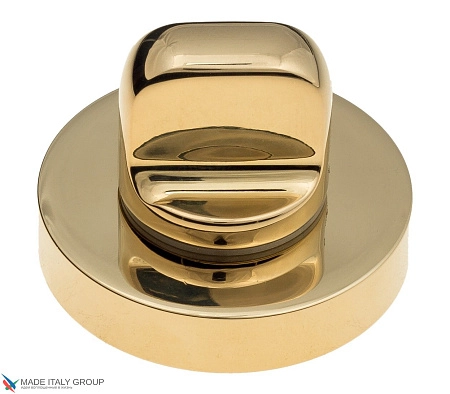 Фиксатор сантехнический  COLOMBO CD49BZG6G-OL полированная латунь