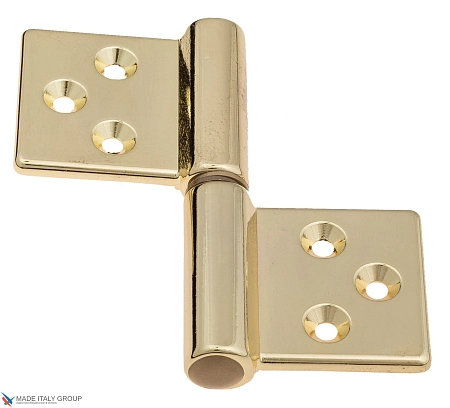 143LO032S_T Петля накладная без врезки Aldeghi 32x35 полированная латунь ПРАВАЯ