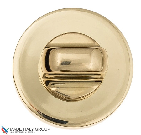 Фиксатор сантехнический  COLOMBO CD49BZG6G-OL полированная латунь