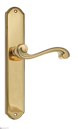 Дверные ручки Venezia VIVALDI на планке PL02 полированная латунь