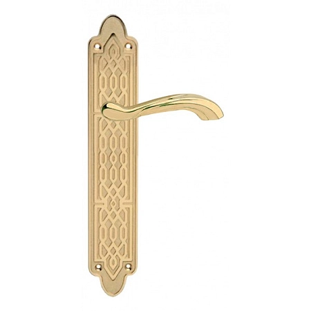 Дверная ручка на планке Cottali Ibis золото / матовое золото