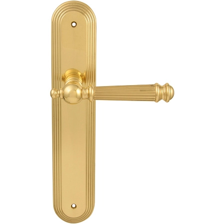 Дверные ручки на планке Melodia 102 Veronica Pass на пластине Demetra Полированная латунь